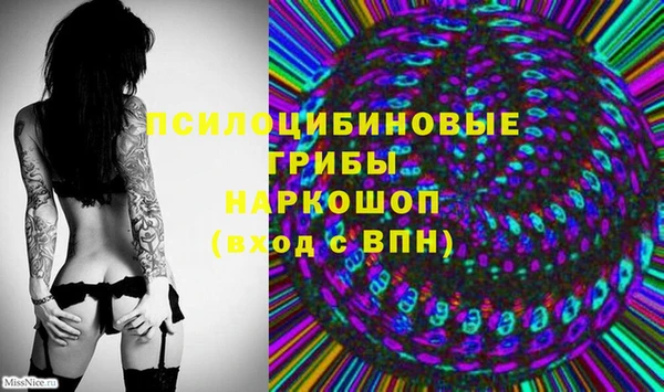 дурь Верхний Тагил