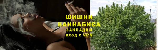 дживик Верея