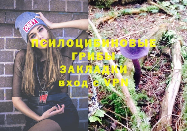 дурь Верхний Тагил
