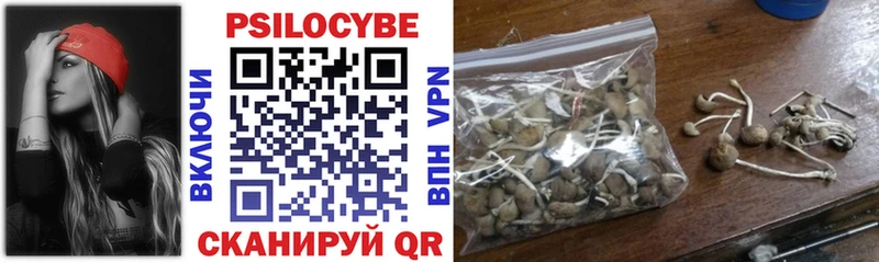 Галлюциногенные грибы Cubensis  Ногинск 